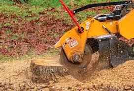 Best Firewood Processing and Delivery  in Kenosha, WI